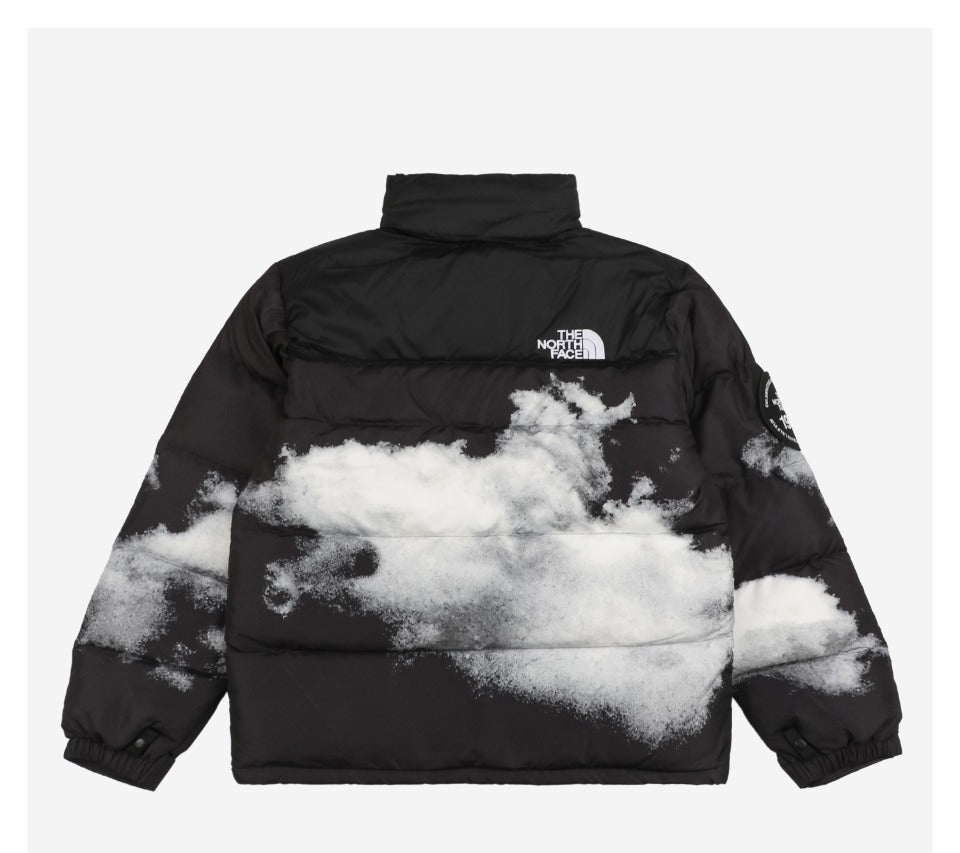 Chaqueta TNF 1996 Diseño