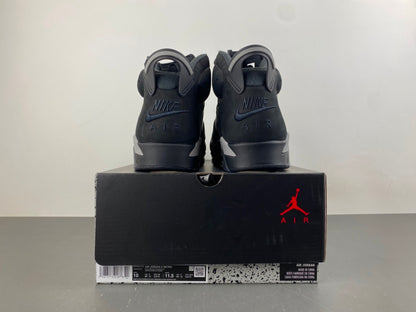 Air Jordan Retro 6 "Cap and Grown"