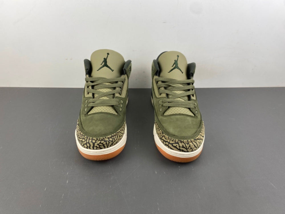 Air Jordan Retro 3 "Family Affairs"