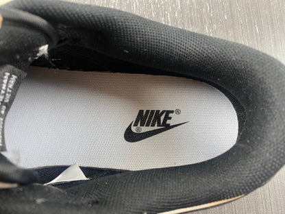 Nike Dunk Low x DFQ