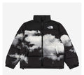 Chaqueta TNF 1996 Diseño