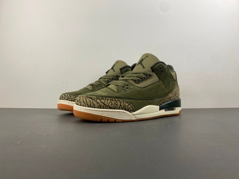 Air Jordan Retro 3 "Family Affairs"