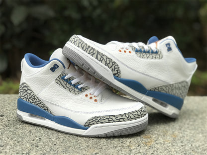 Air Jordan Retro 3 "Wizards"