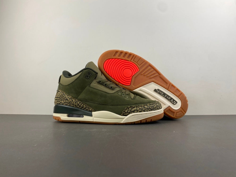 Air Jordan Retro 3 "Family Affairs"