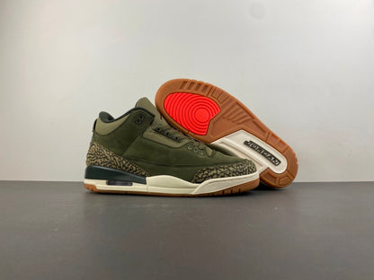 Air Jordan Retro 3 "Family Affairs"