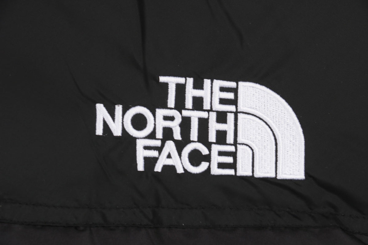 Chaqueta TNF 1996 Diseño