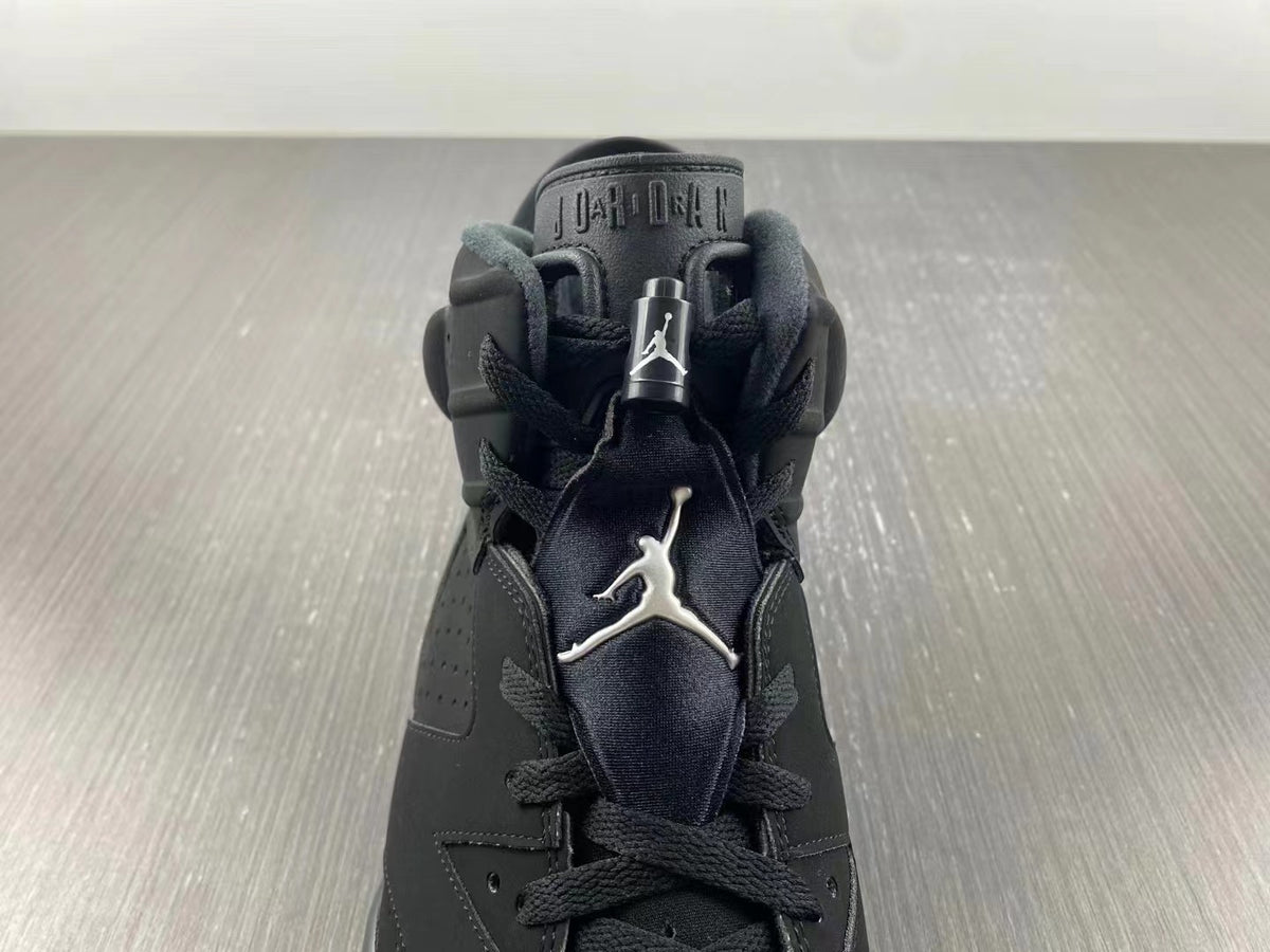 Air Jordan Retro 6 "Metallic Silver"