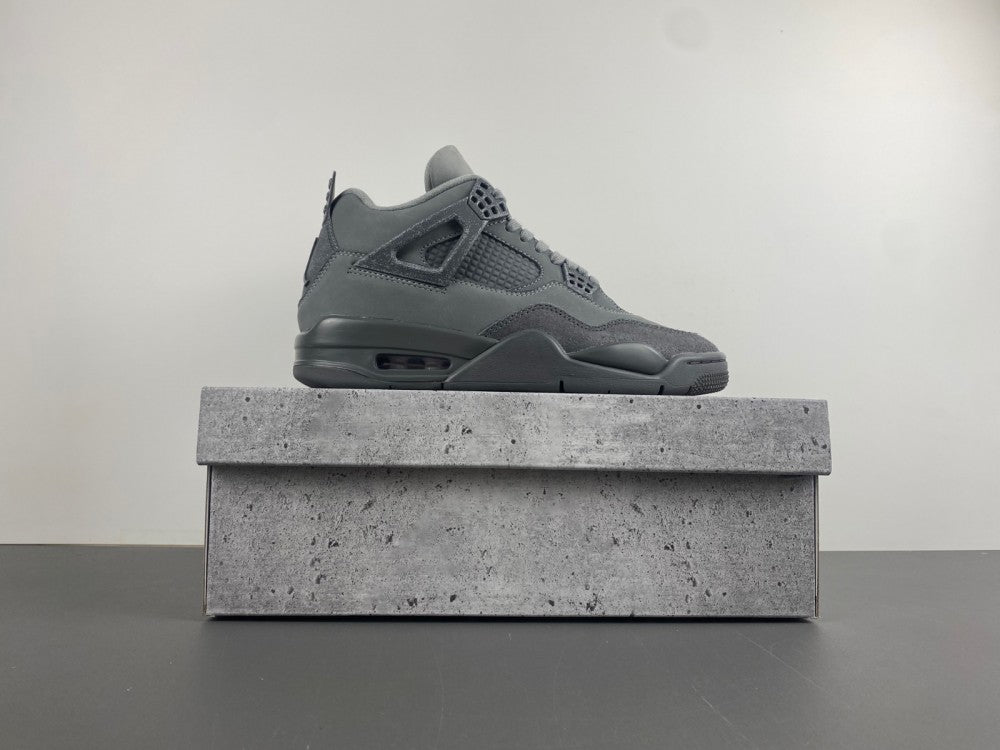 Jordan Retro 4 SE "Paris Olympics"