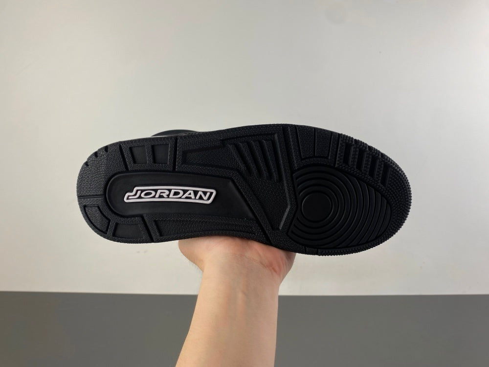 Air Jordan Retro 3 "Black Cat"