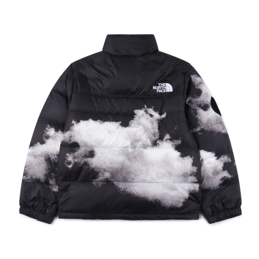 Chaqueta TNF 1996 Diseño