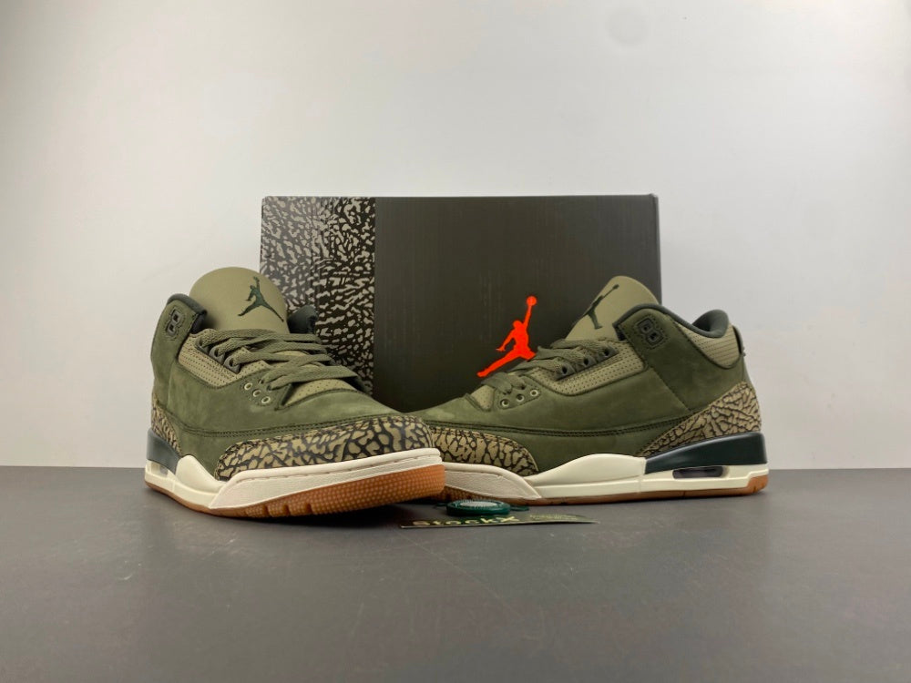 Air Jordan Retro 3 "Family Affairs"