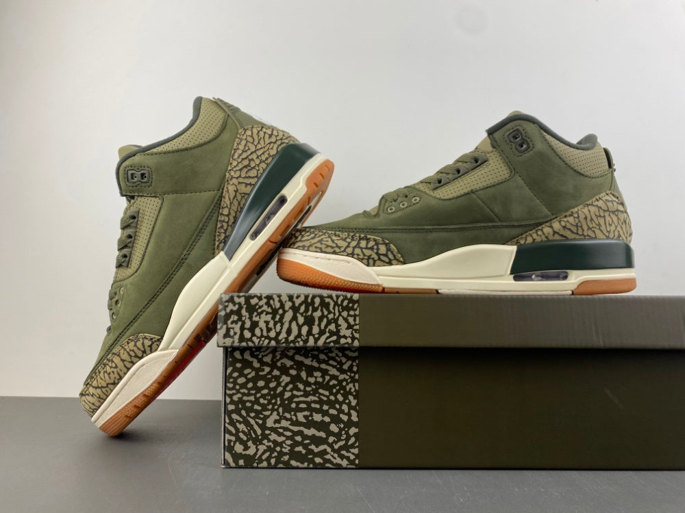 Air Jordan Retro 3 "Family Affairs"