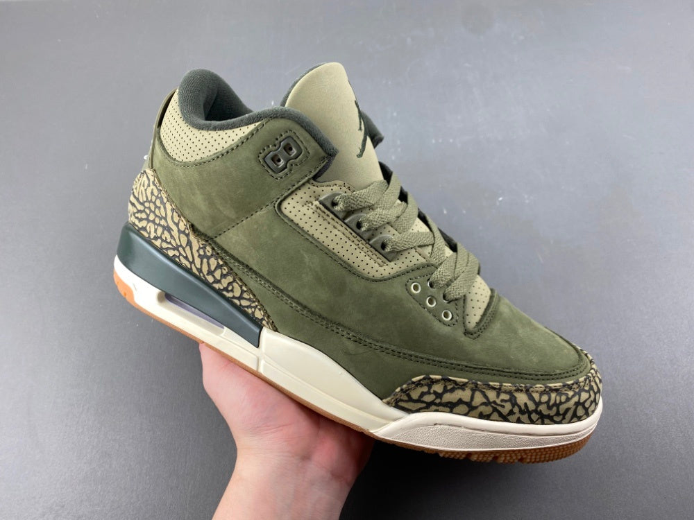 Air Jordan Retro 3 "Family Affairs"