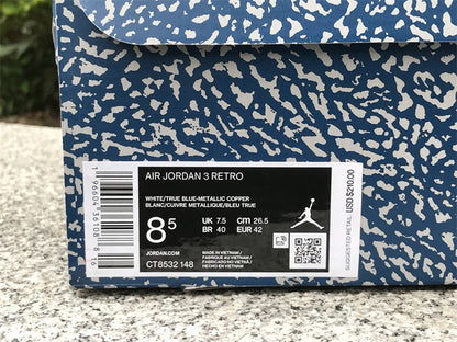 Air Jordan Retro 3 "Wizards"
