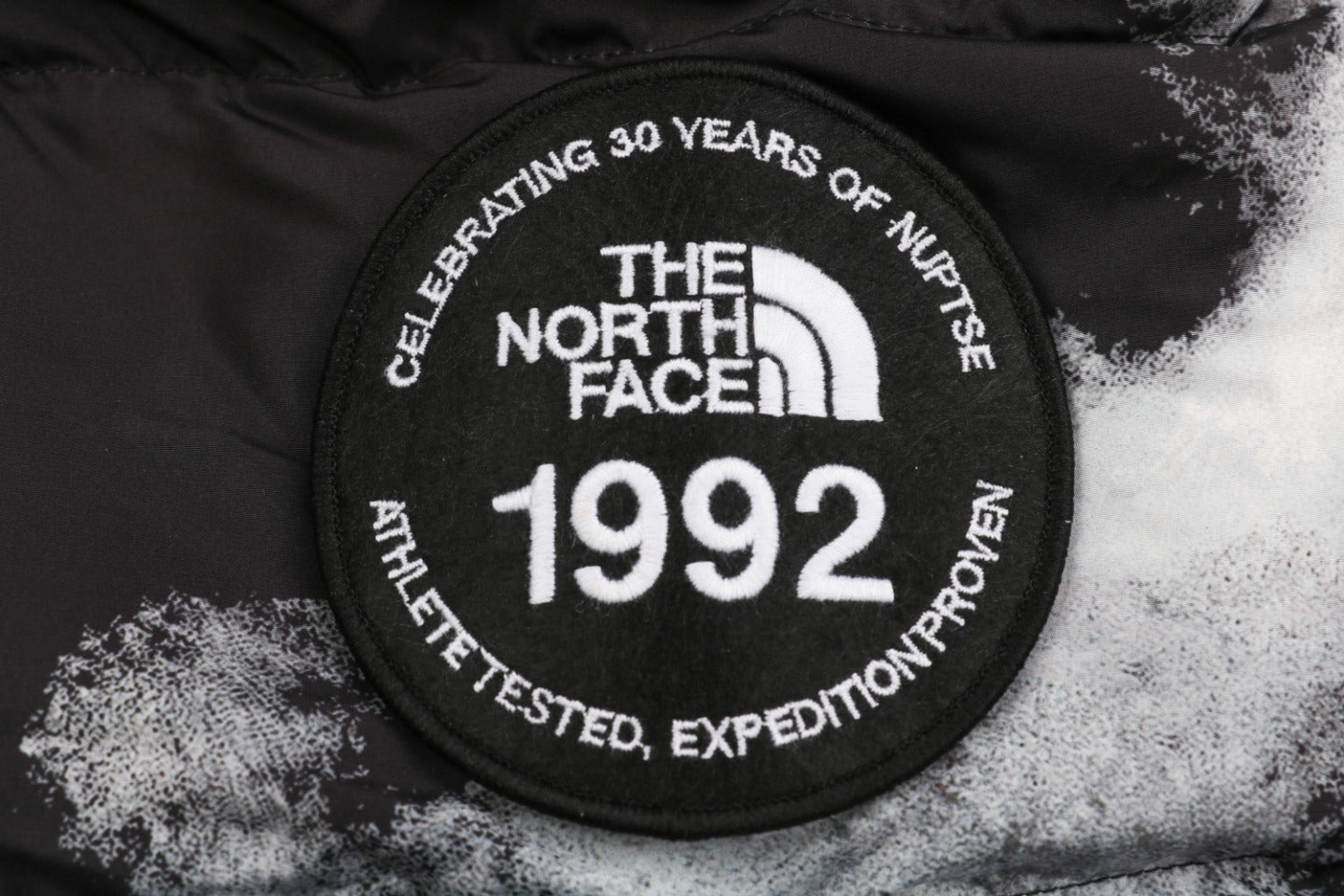 Chaqueta TNF 1996 Diseño