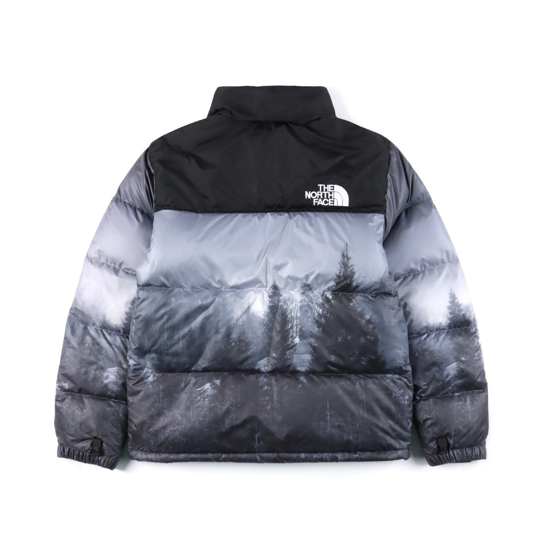Chaqueta TNF 1996 Diseño