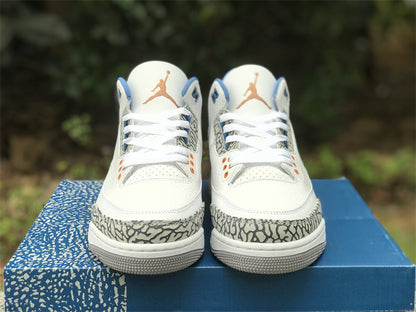 Air Jordan Retro 3 "Wizards"